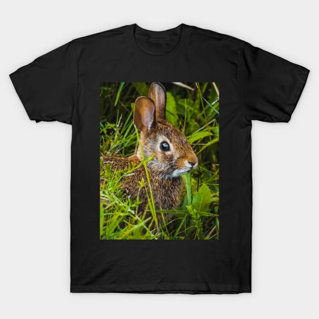 Cute Wild Bunny Hiding in the Grass Photograph T-Shirt by love-fi